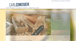 Desktop Screenshot of carlmoser.de